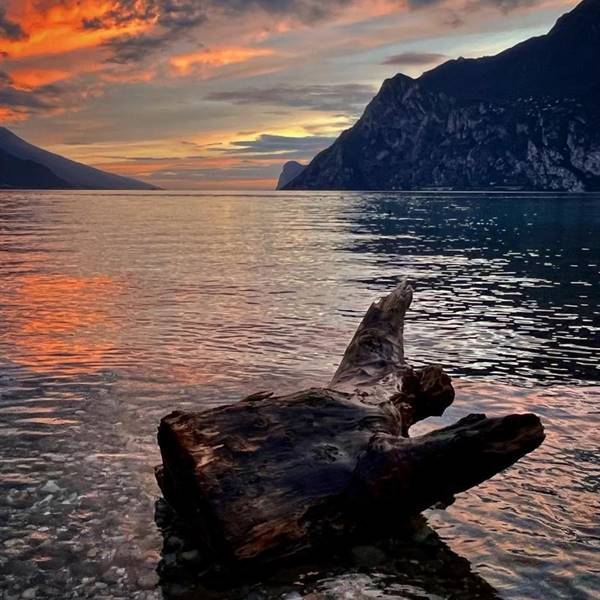 SPIAGGIA DEI PINI 